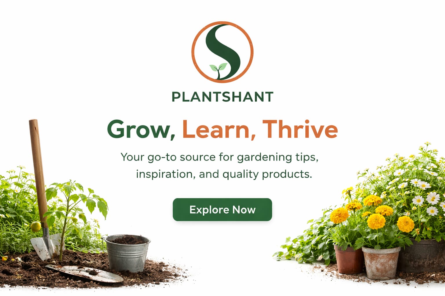 Self watering pot for indoor plants Plantshant