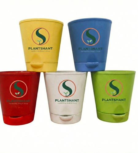 Gemini_Generated_Image_lgg3yklgg3yklgg3